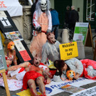 02112013hundeat005_009aktivnews00505.jpg