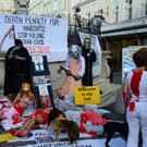 02112013hundeat005_009aktivnews00506.jpg