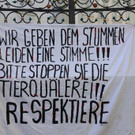 02112013hundeat005_009aktivnews00524.jpg