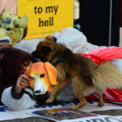 02112013hundeat005_009aktivnews005125.jpg