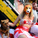02112013hundeat005_009aktivnews005191.jpg