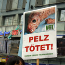 20131102pelz3.jpg