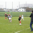 PB020026.JPG