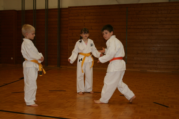 BK_220110 Shotokan Karate FK 004.jpg