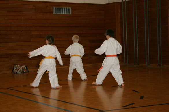 BK_220110 Shotokan Karate FK 007.jpg