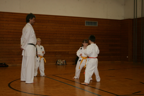 BK_220110 Shotokan Karate FK 008.jpg
