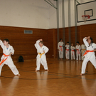 BK_220110 Shotokan Karate FK 014.jpg