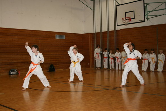BK_220110 Shotokan Karate FK 014.jpg
