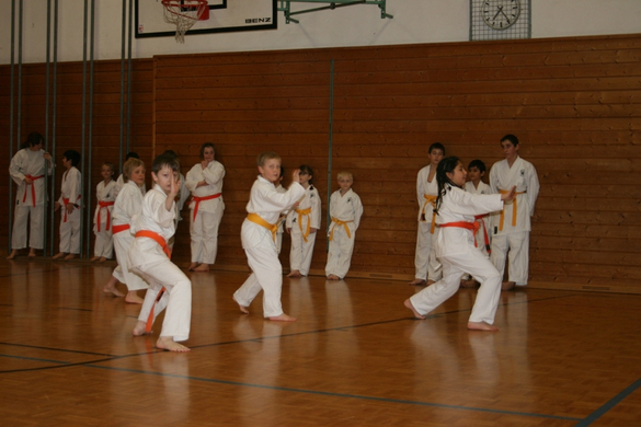 BK_220110 Shotokan Karate FK 015.jpg
