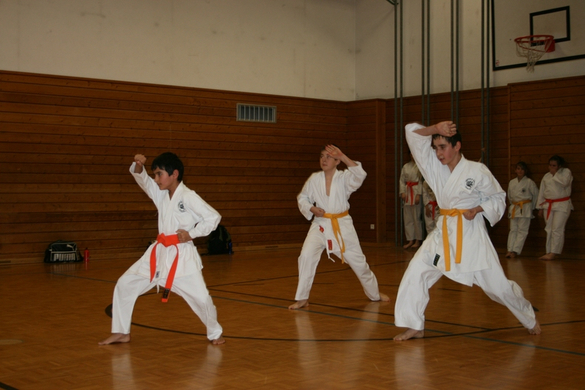 BK_220110 Shotokan Karate FK 018.jpg