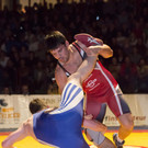 file6cjk5puaqg814w3v13cb.jpg