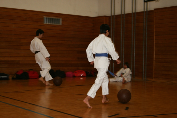 BK_220110 Shotokan Karate FK 039.jpg