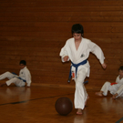 BK_220110 Shotokan Karate FK 040.jpg