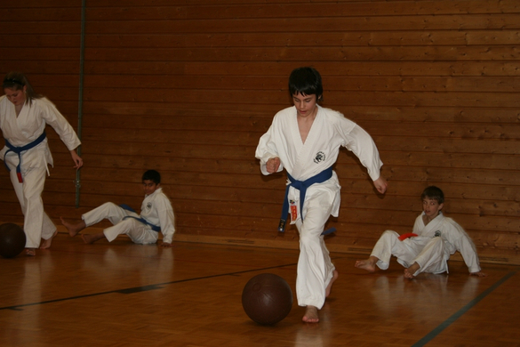 BK_220110 Shotokan Karate FK 040.jpg