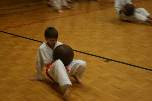 BK_220110 Shotokan Karate FK 049.jpg