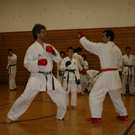 BK_220110 Shotokan Karate FK 063.jpg