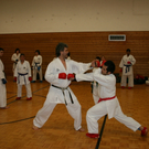 BK_220110 Shotokan Karate FK 065.jpg