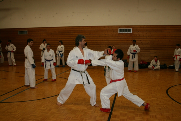 BK_220110 Shotokan Karate FK 065.jpg
