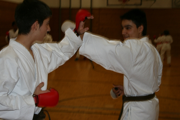 BK_220110 Shotokan Karate FK 068.jpg