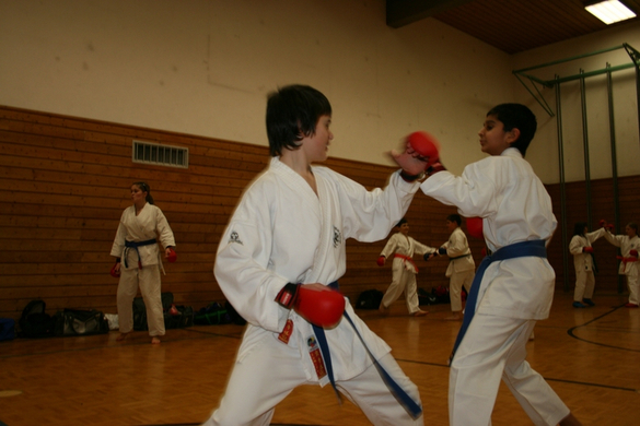 BK_220110 Shotokan Karate FK 075.jpg