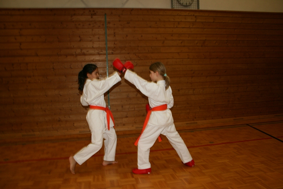 BK_220110 Shotokan Karate FK 078.jpg