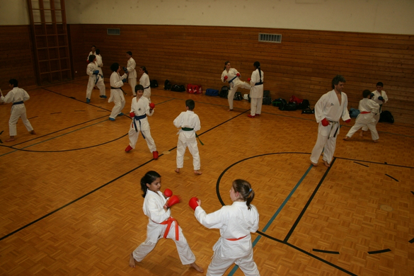 BK_220110 Shotokan Karate FK 082.jpg