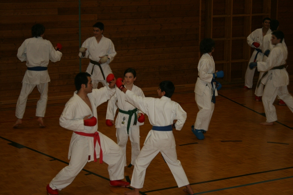 BK_220110 Shotokan Karate FK 083.jpg