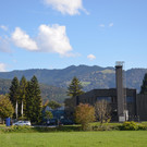 DSC_7283.JPG