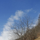 _DSC07420056_1_JPG-1269356349