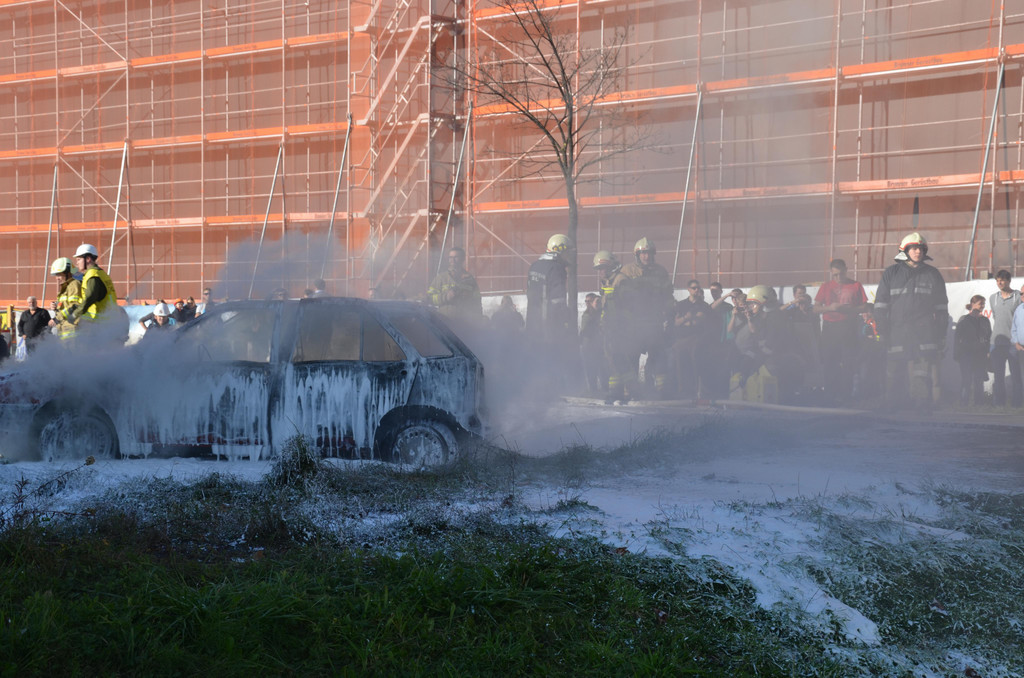 DSC_7362.JPG