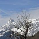 _DSC07710065_1_JPG-1269356496