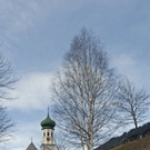 _DSC08190082_JPG-1269356728