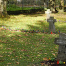 DSCN0242.JPG