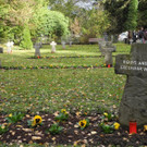 DSCN0243.JPG