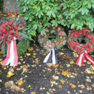 DSCN0250.JPG