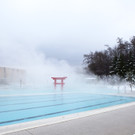 _MG_3304.JPG