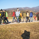 Satteins Laufgruppe.jpg