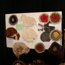 IMG_4055.JPG