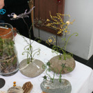 IMG_4078.JPG