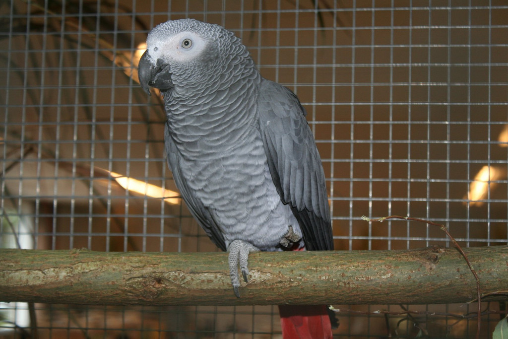 IMG_4113.JPG