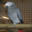 IMG_4113.JPG