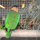IMG_4117.JPG