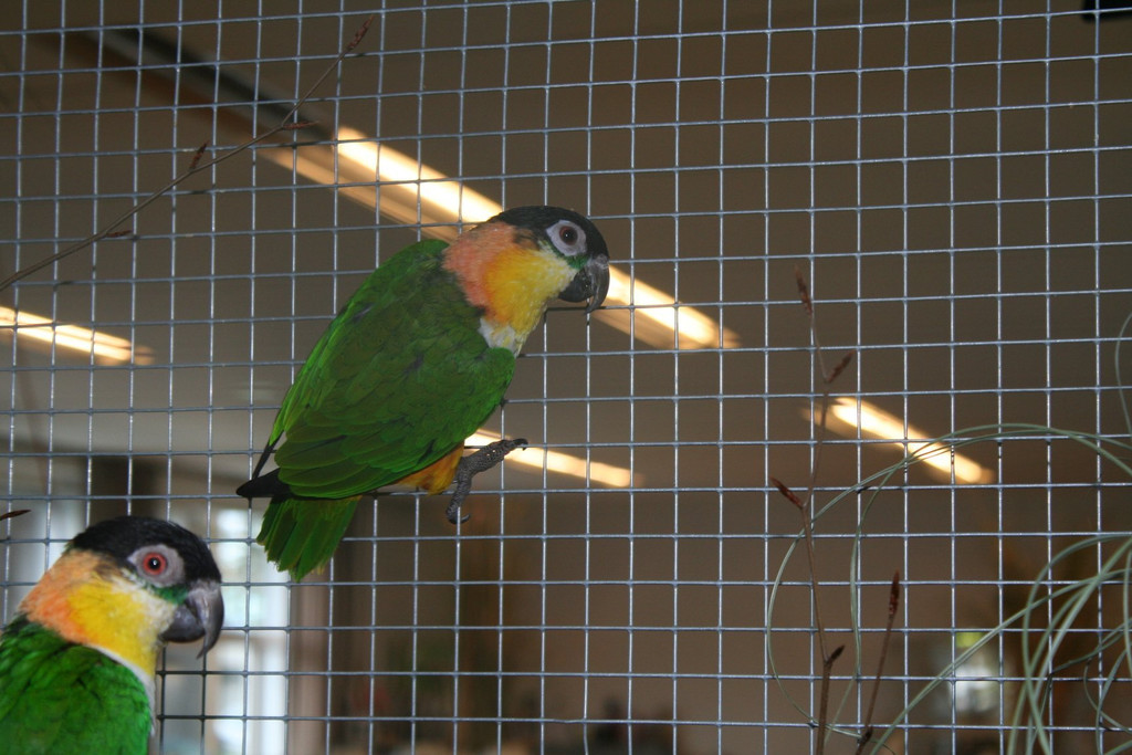 IMG_4118.JPG