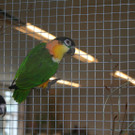 IMG_4118.JPG