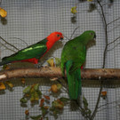 IMG_4122.JPG