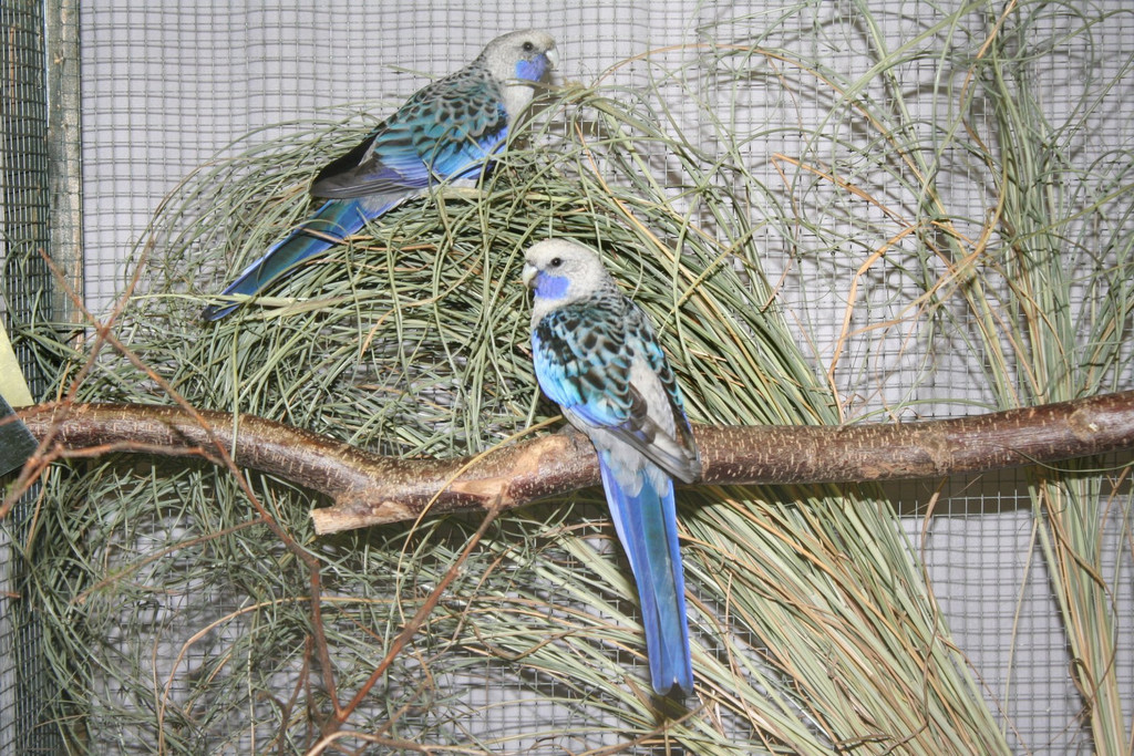 IMG_4125.JPG