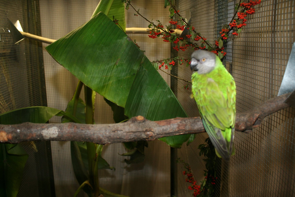 IMG_4127.JPG