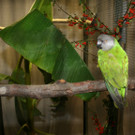 IMG_4127.JPG