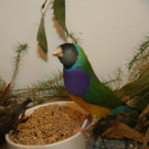 IMG_4136.JPG