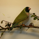 IMG_4138.JPG